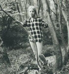 Picture of Giraffe Melissa Poe