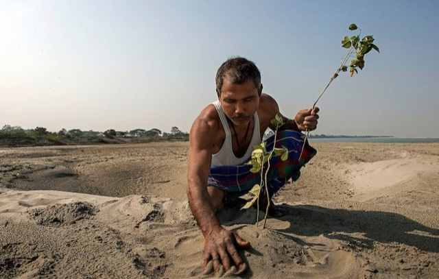 Picture of Giraffe Jadav Payeng